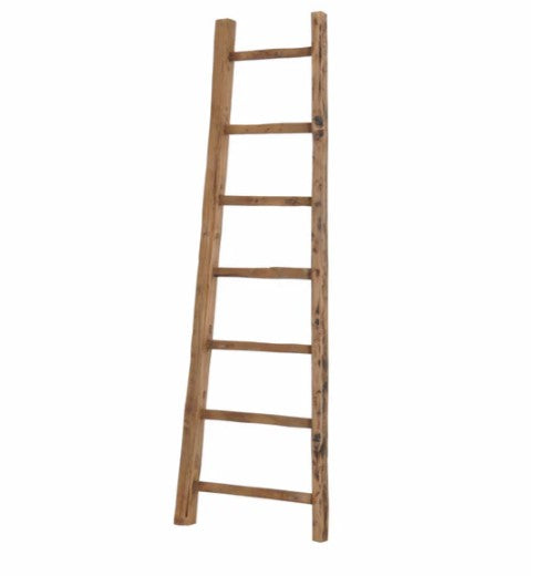 D-Bodhi Ladder