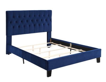 Queen Upholstered Bed